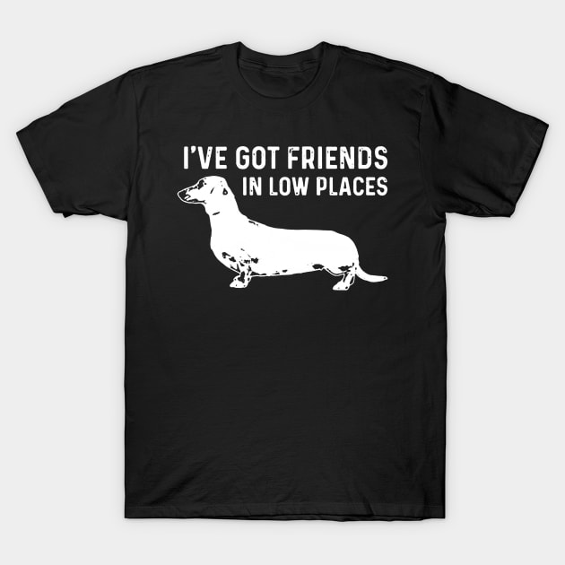 I've Got Friends in Low Places T-Shirt by jeremiepistrefreelance